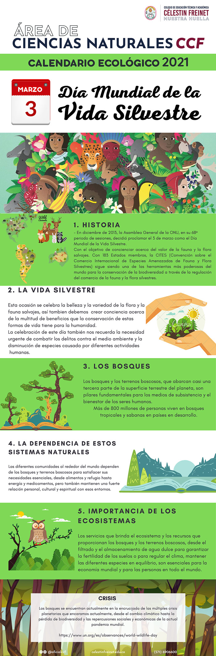 Día Mundial de la Vida Silvestre | Infografía